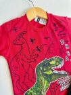 Conjunto Dinossauro Vermelho