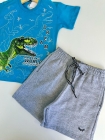 Conjunto Dinossauro Azul Turqueza