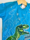 Conjunto Dinossauro Azul Turqueza