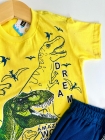 Conjunto Dinossauro Amarelo