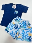 Conjunto Azul Camaleao