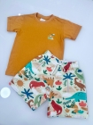 Conjunto Marrom Dinossauro