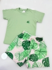 Conjunto Verde Folha