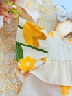 Vestido + Calcinha (1 ano) Margarida