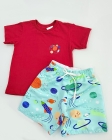 Conjunto Vermelho Nave