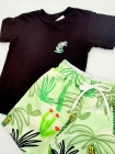 Conjunto Preto Coqueiro