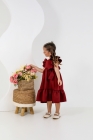 Vestido Isabella Vinho Luxo (Premium)