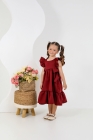 Vestido Isabella Vinho Luxo (Premium)