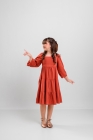Vestido Viscose Terra Manga Longa