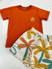 Conjunto Terra Tropical