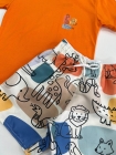 Conjunto Laranja Safari