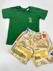 Conjunto Verde Safari