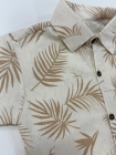 Conjunto Folhagem Rafael