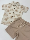 Conjunto Folhagem Rafael