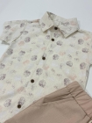 Conjunto Folhagem Artur