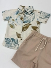 Conjunto Folhagem Diego