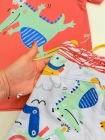 Conjunto Moletinho Jacaré (Premium)