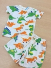 Conjunto Lúdico Dinossauros