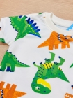 Conjunto Lúdico Dinossauros