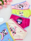 Kit com 5 - Calcinhas Bichinhos