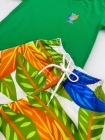 Conjunto Verde Tropical