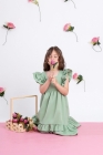 Vestido Luxo Verde Oliva (Premium)