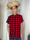 Camisa Masculina Xadrez Vermelha