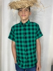 Camisa Masculina Xadrez Verde