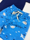 Conjunto Azul Peixes Moletom (Premium)