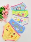 Kit com 5 - Calcinhas Lúdicaa