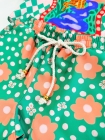 Conjunto L&uacute;dico On&ccedil;a