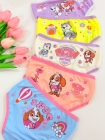 Kit com 5 - Calcinhas Patrulha Canina