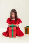 Vestido Vermelho Laise (Premium)