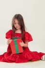Vestido Vermelho Laise (Premium)