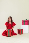 Vestido Vermelho Laise (Premium)