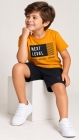 Conjunto Mostarda Next Moletom (Premium)