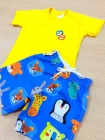 Conjunto Amarelo Animais